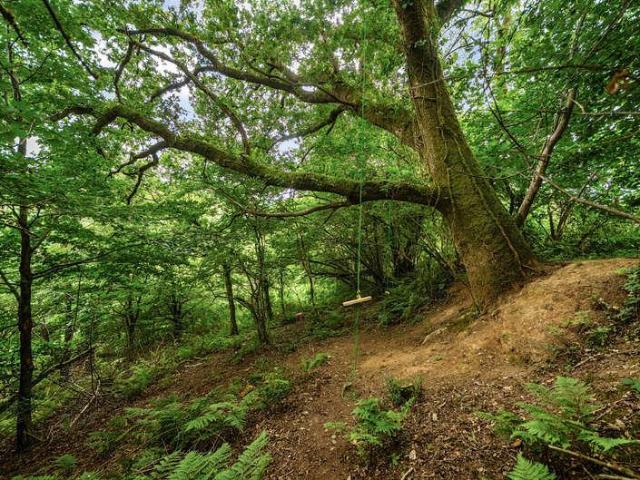 House for sale in Talog, Wales