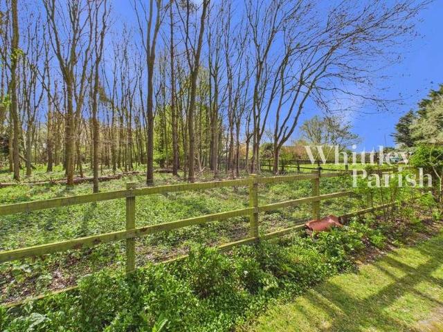 Property for sale in Thorpe Abbotts, South Norfolk