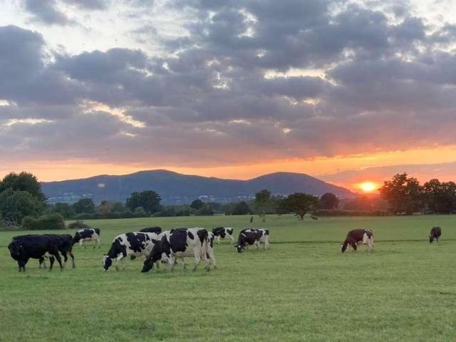 Property for sale in Forthampton, Worcestershire