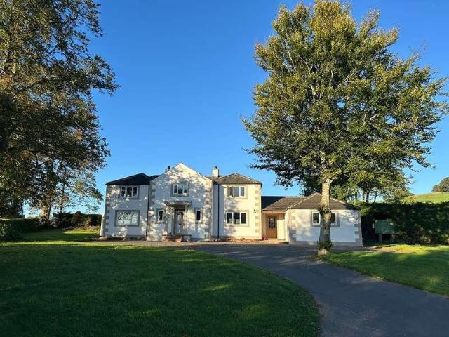 House for rent