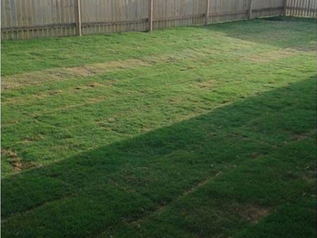 Room for rent in Gracemere, Queensland