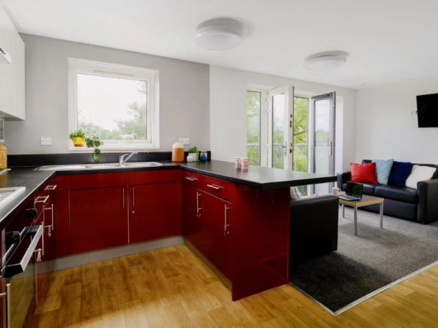 Room for rent in Harborne, West Midlands