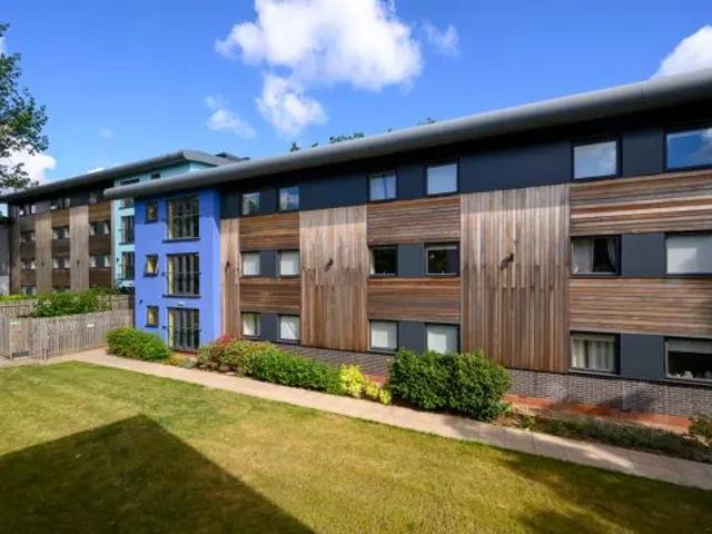 Room for rent in Harborne, West Midlands