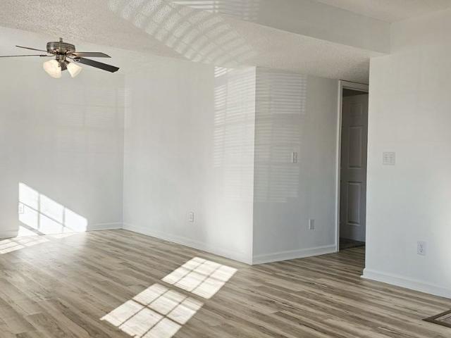 Apartment for rent in Murray, Kentucky