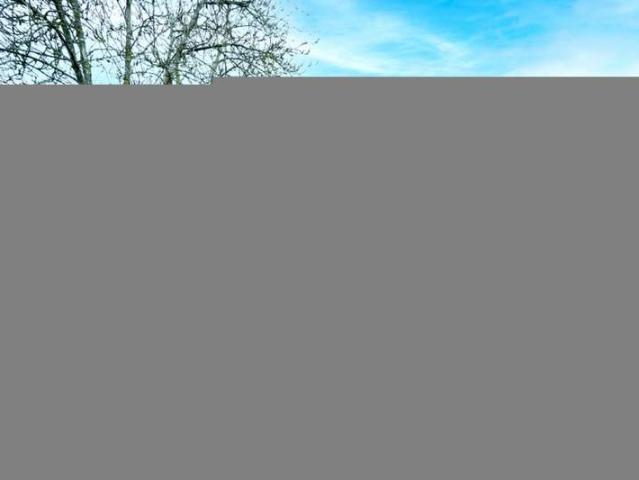 Bungalow for sale in Balsall, West Midlands