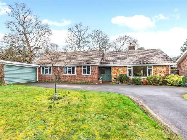 Bungalow for sale in Bolton Low Houses, Hampshire