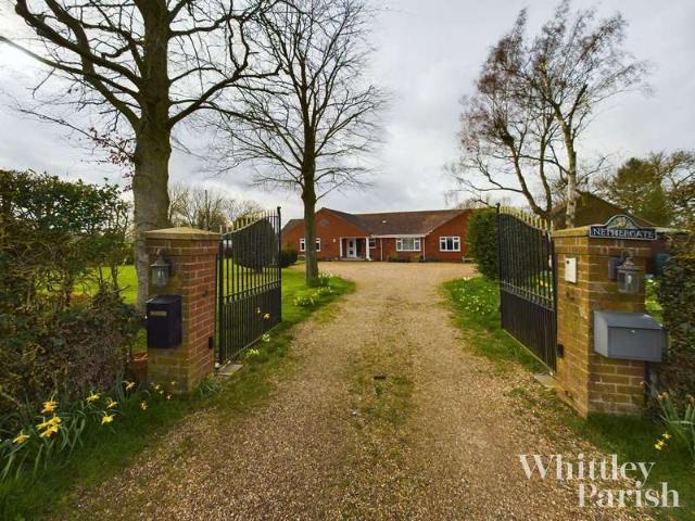 Bungalow for sale in Bunwell, South Norfolk