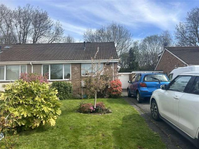 Bungalow for sale in Newton St Cyres, Devon