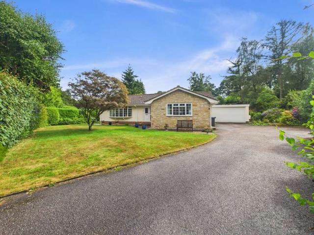 Bungalow for sale in West Hill, Budlake