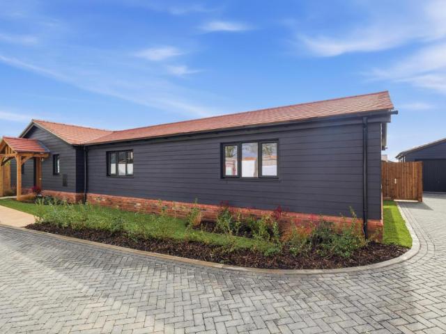 Bungalow for sale in Duton Hill, Essex