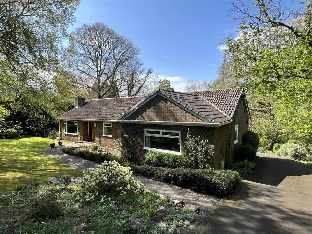 Bungalow for sale in New Ridley, Stocksfield