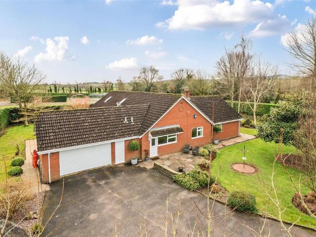 Bungalow for sale in Bridford, Devon