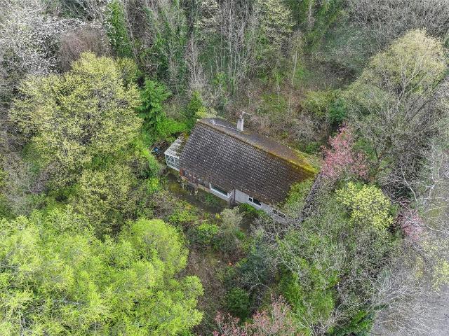 Bungalow for sale in Alva, Scotland