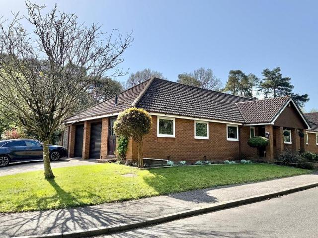 Bungalow for sale in Avon Castle, St Ives