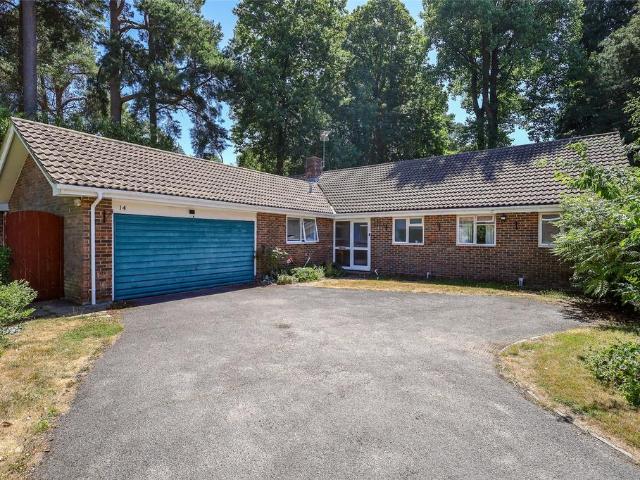 Bungalow for sale in Bolton Low Houses, Hampshire