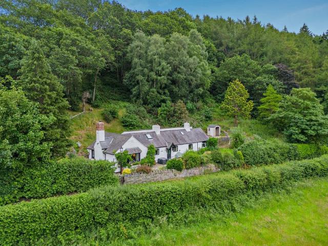 Bungalow for sale in Bodfari, Wales