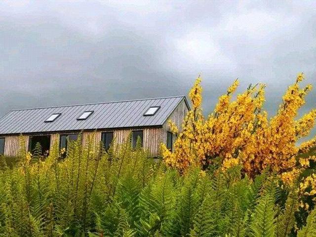 Bungalow for sale in Scotland