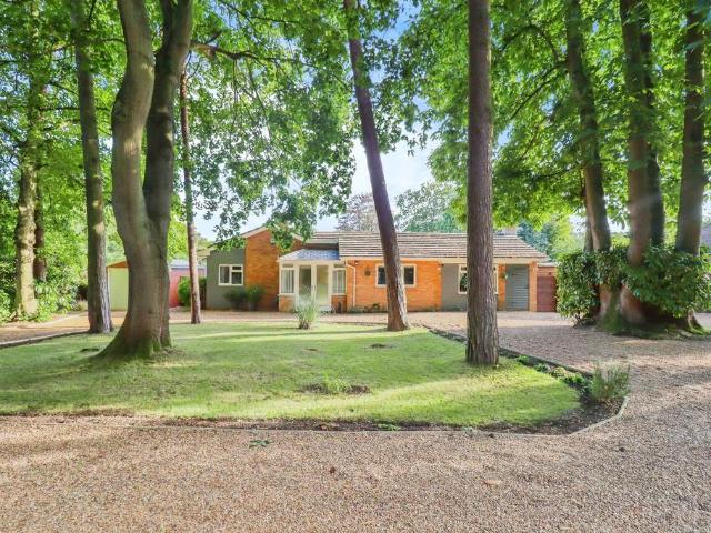 Bungalow for sale in Wroxham, Crostwick