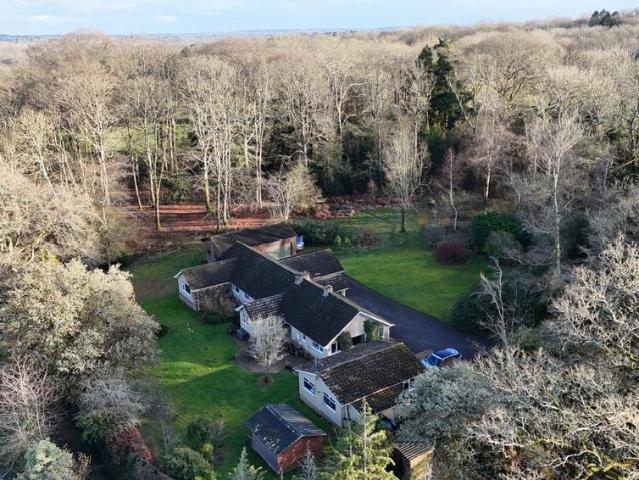 Bungalow for sale in Barton Stacey, Hampshire
