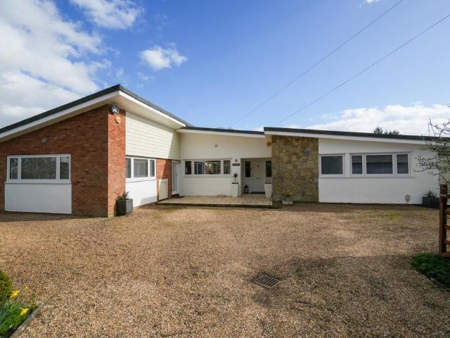 Bungalow for sale in Duton Hill, Essex