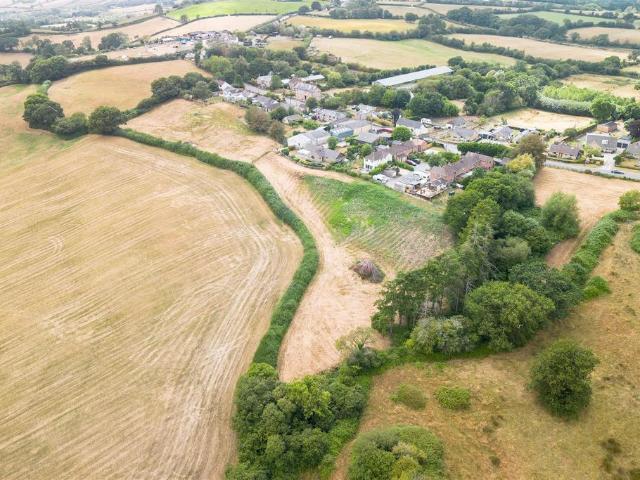Bungalow for sale in Birdsmoorgate, Marshwood