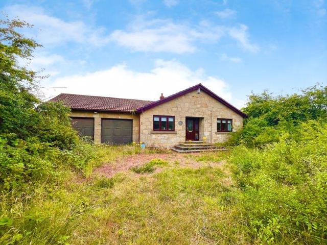 Bungalow for sale in Newton-on-the-Moor and Swarland, Swarland