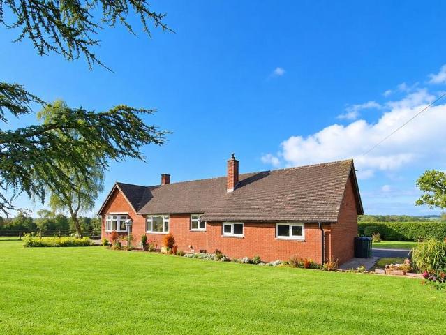 Bungalow for rent in Edwyn Ralph