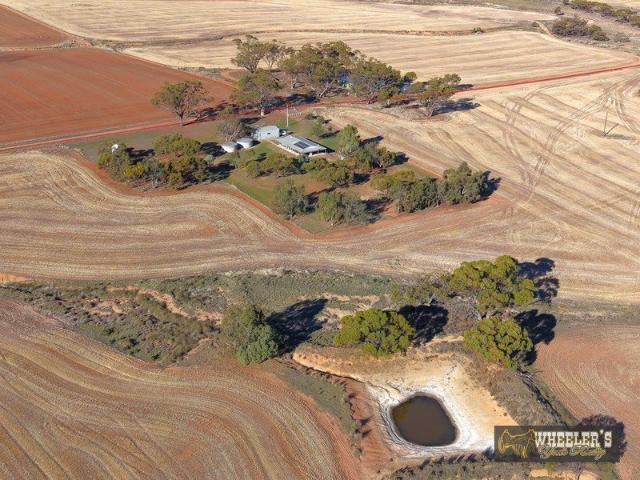 Cottage for sale in Narraloggan, Western Australia