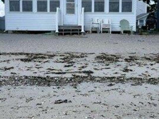 House for sale in Clinton Beach, Clinton