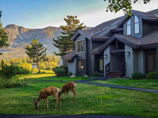 Condo for rent in Mammoth Lakes, California