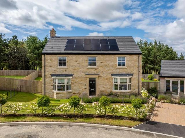 House for rent in Felton, Northumberland