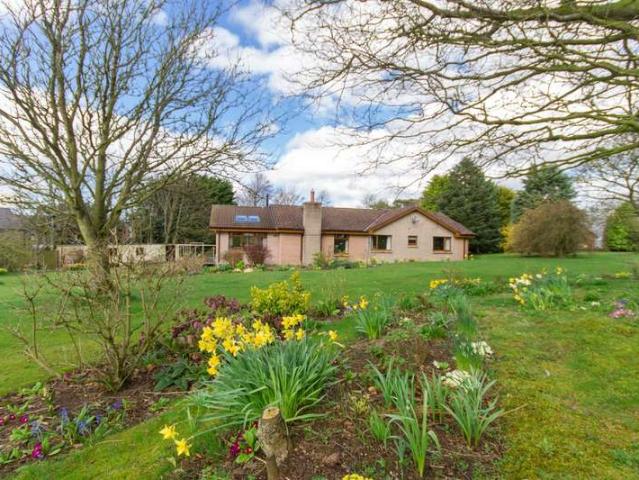 Bungalow for sale in Northumberland