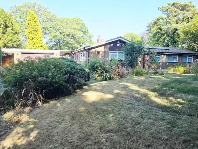 House for rent
