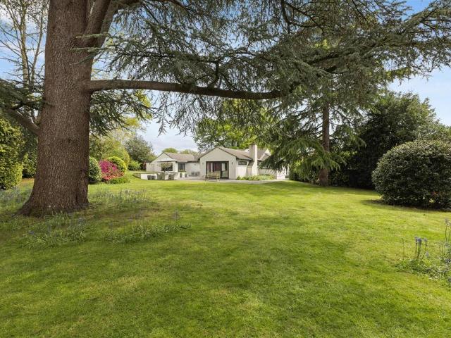 Bungalow for sale in Petersfield, Bolton Low Houses