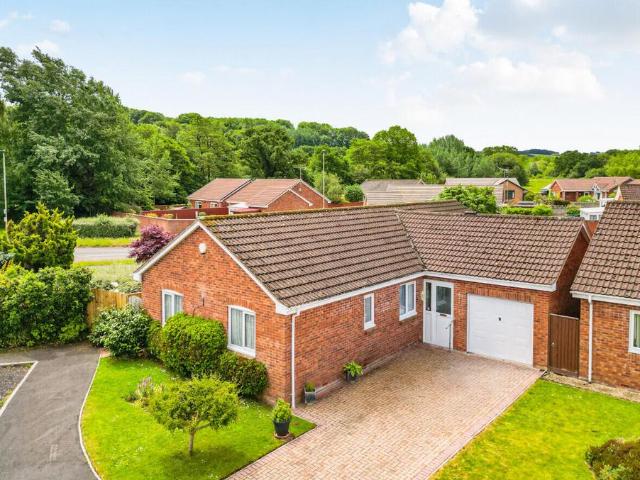 Bungalow for sale in Newton St Cyres, Devon
