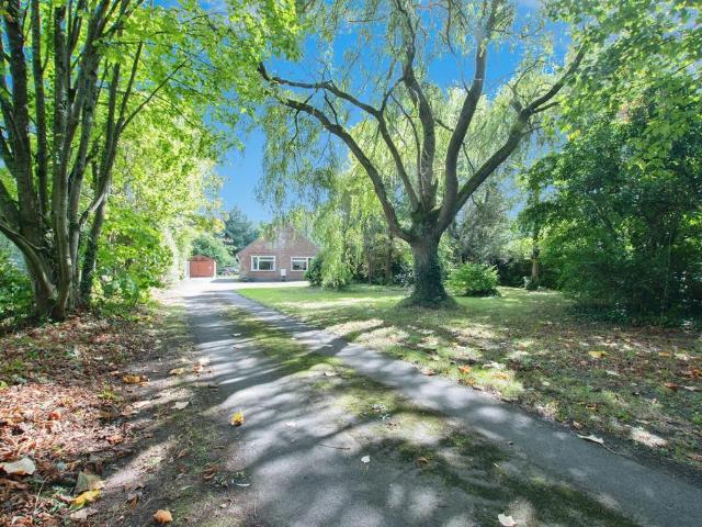 Bungalow for sale in Verwood, East Dorset