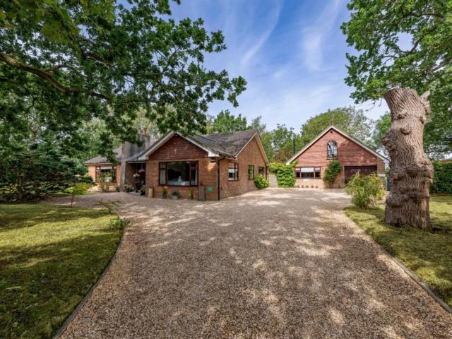 Bungalow for sale in East Tuddenham, Norfolk