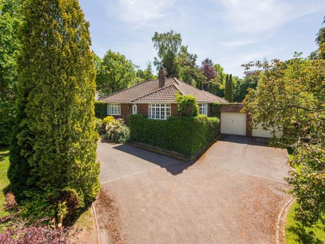 Bungalow for sale in Cross In Hand, East Sussex