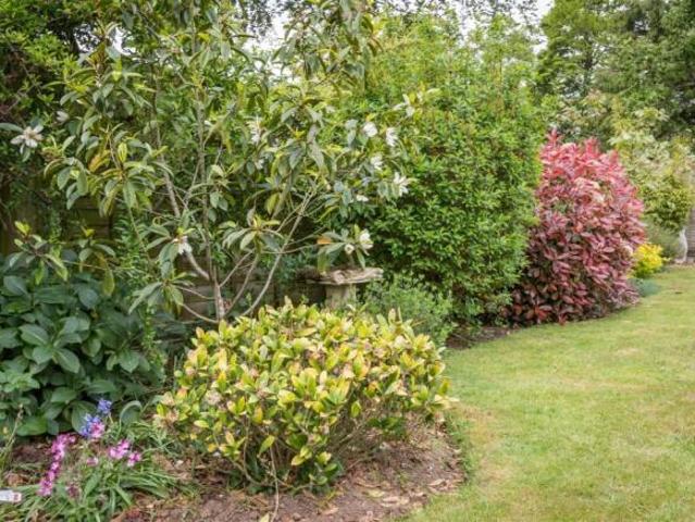 Bungalow for sale in Key Street, Suffolk