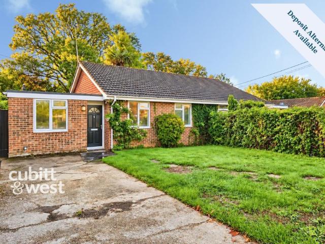 Bungalow for rent in Steep Marsh, East Hampshire