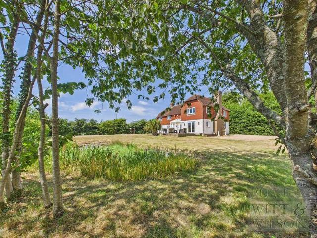 Farm for sale in Netherfield, Heathlands