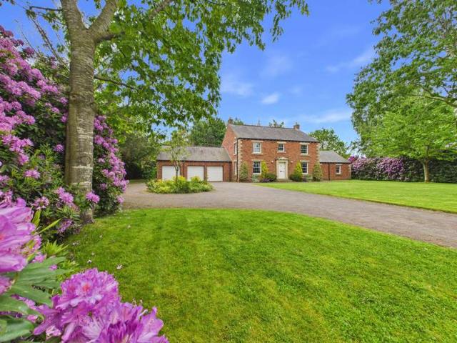 Farm for sale