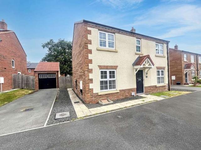 Farm for rent in Morpeth, Northumberland