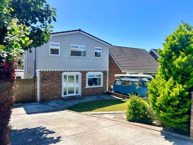 Farm for sale in Newcastle, Wales