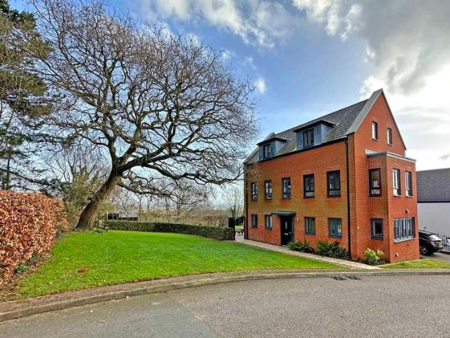 Farm for sale in Bridford, Devon