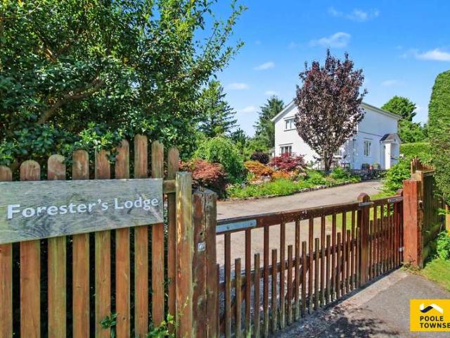 Farm for sale