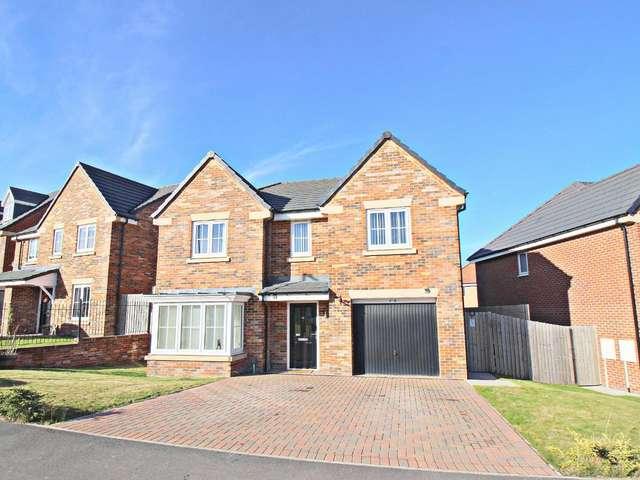 Farm for sale in High Handenhold
