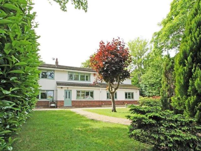 Farm for sale in Duton Hill, Essex