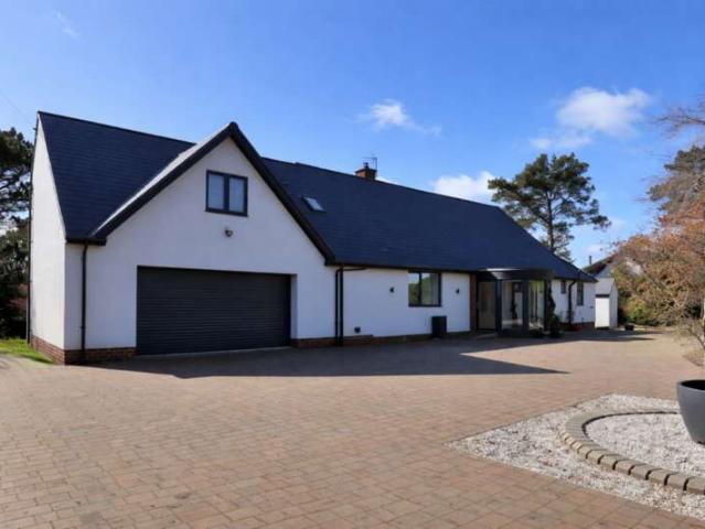 Farm for sale
