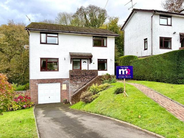 House for sale in Malpas Park, Malpas